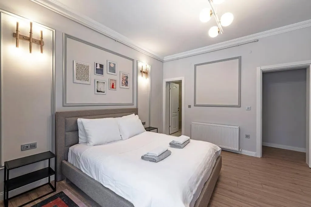 Classic Beauty Stylish And Modernized In Top Area Istanbul